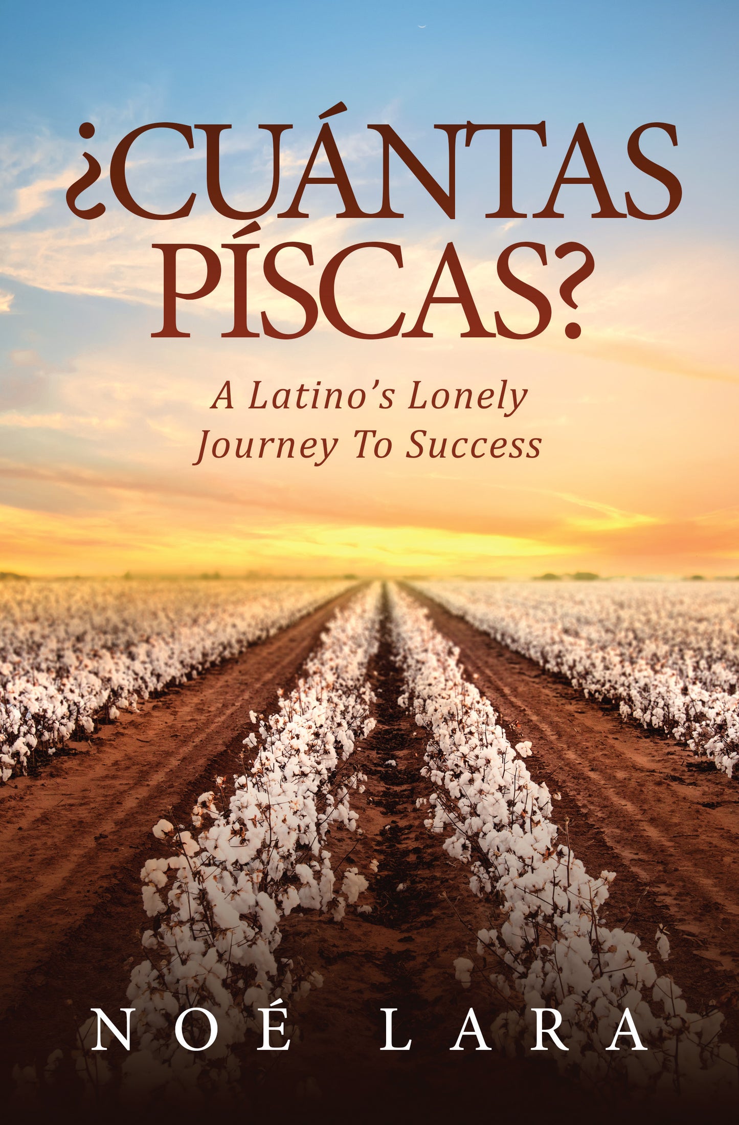 ¿CUÁNTAS PÍSCAS?: A Latino's Lonely Journey To Success